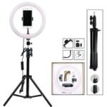 14 inch Ring Light With 2.1 Meter Stand And A Phone Holder