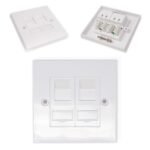 Double faceplate with modules