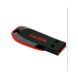 Sandisk 4GB USB Flash Disk Drive