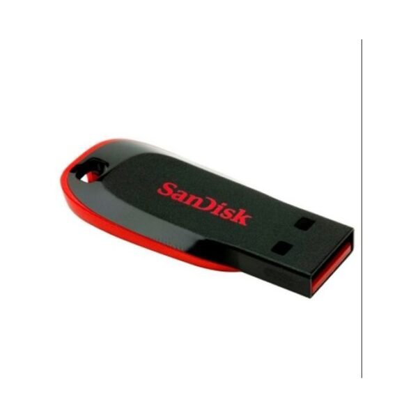 Sandisk 4GB USB Flash Disk Drive